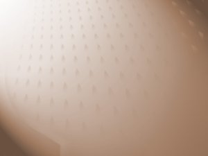 内控体系